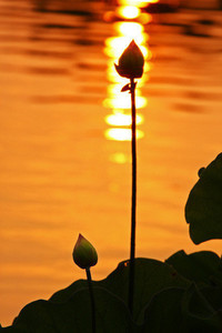 篮网控卫刷新纪录，助球队稳固排名