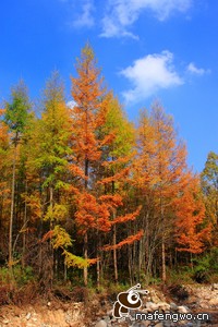 鲁尔山队大胜巴黎，引发一线冲刺