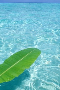 绝地反击！独行侠惊险逆转马刺取得成功