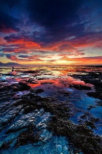 联手助球队晋级，外援功不可没