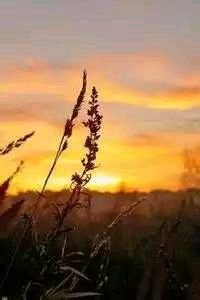 巴塞罗那锋线连续进球！