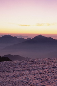 金牌花落谁家开拓胜利光芒绽放